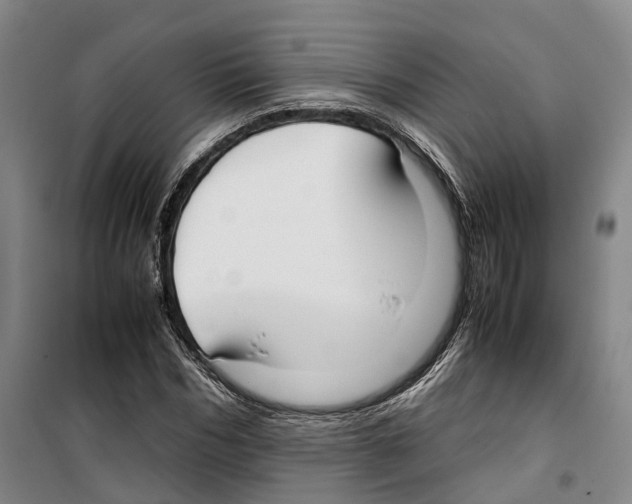X0000099400970200806051204