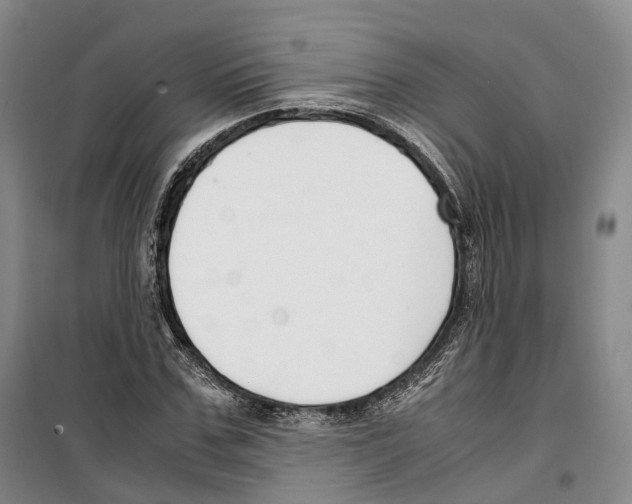 X0000099400971200806051204