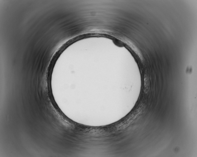 X0000099400972200806051204
