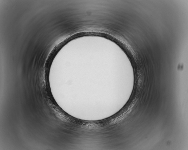 X0000099400974200806051204