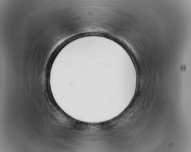X0000099400975200806051204