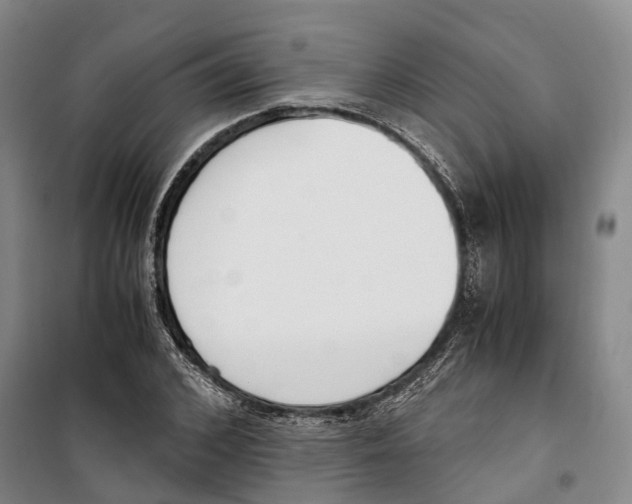 X0000099400976200806051204