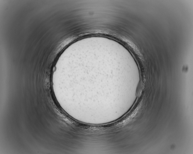 X0000099400977200806051204