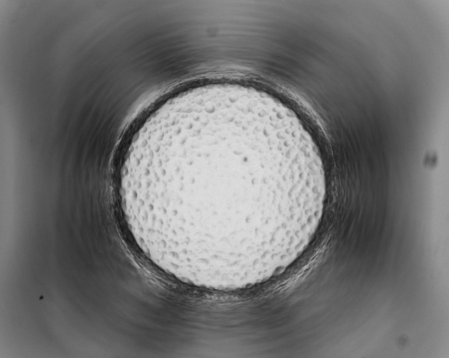 X0000099400978200806051204