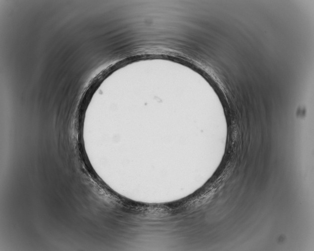 X0000099400979200806051204