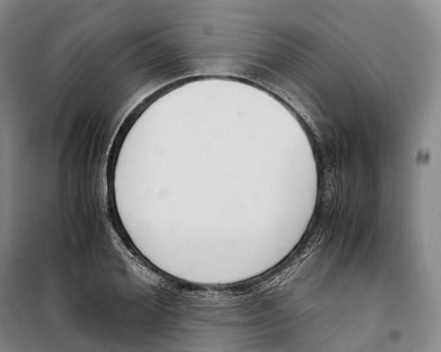 X0000099400980200806051204