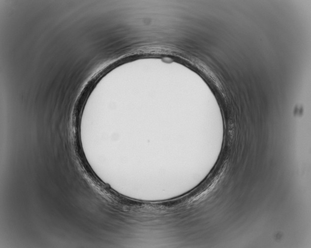 X0000099400981200806051204