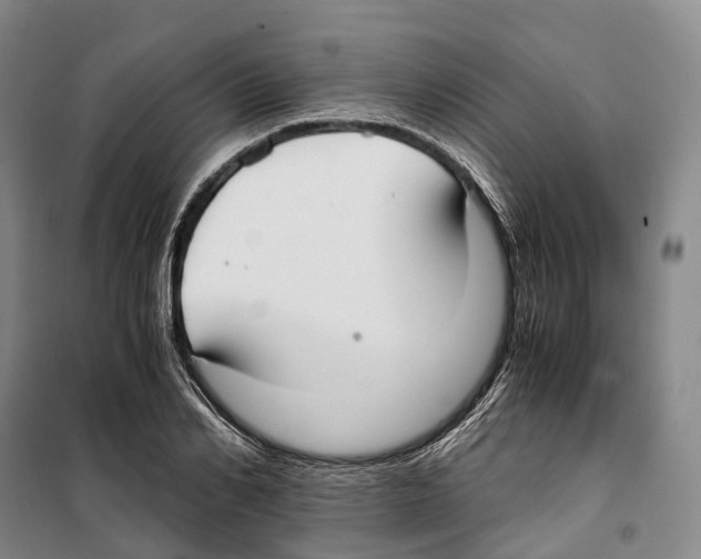 X0000099400982200806051204
