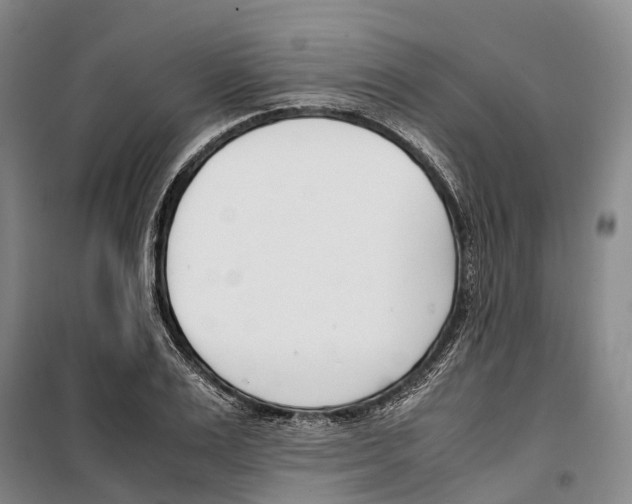 X0000099400983200806051204