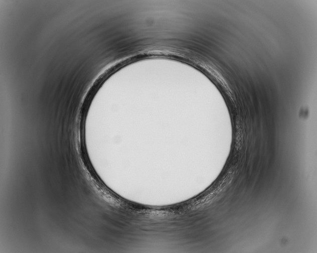X0000099400984200806051204