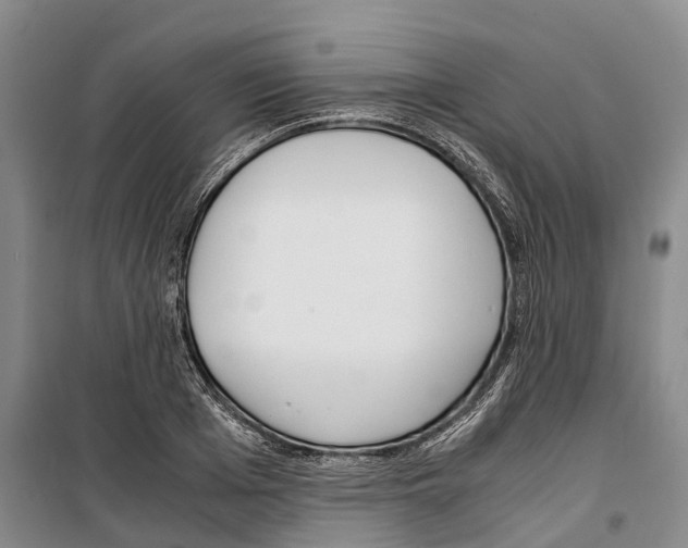 X0000099400985200806051204
