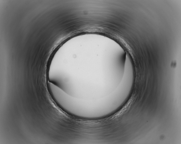 X0000099400986200806051204