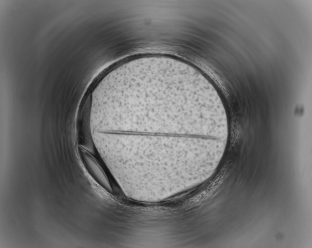 X0000099400988200806051204