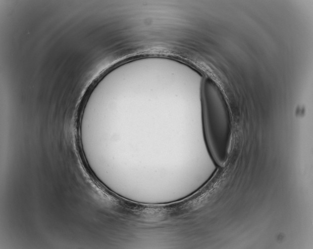 X0000099400989200806051203