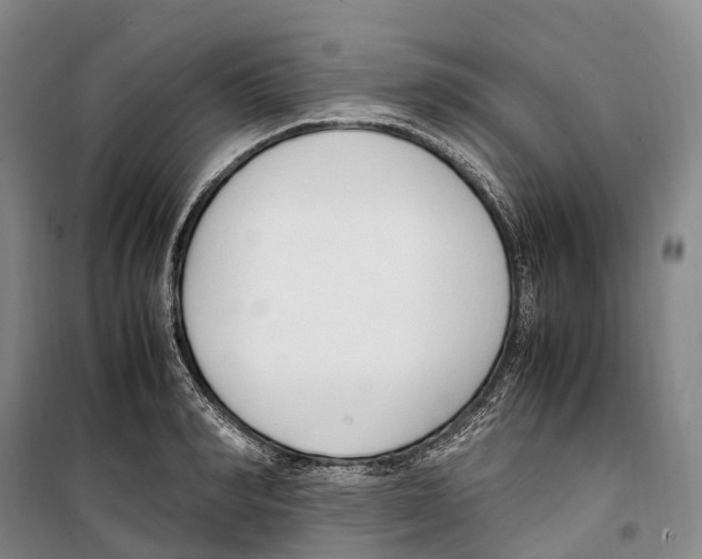X0000099400990200806051203