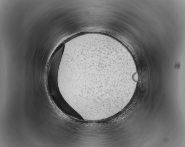 X0000099400992200806051203