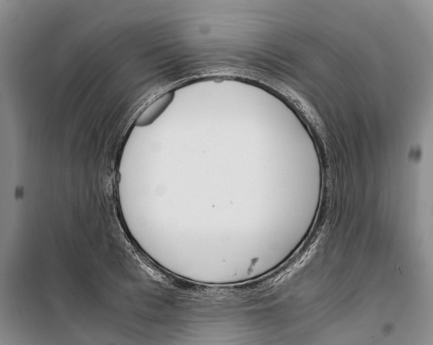 X0000099400993200806051203