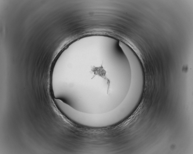 X0000099400994200806051203