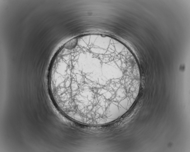 X0000099400995200806051203
