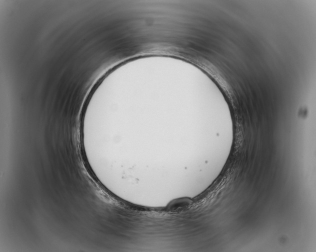 X0000099400996200806051203