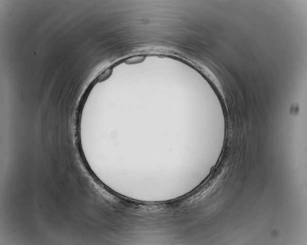 X0000099400997200806051203
