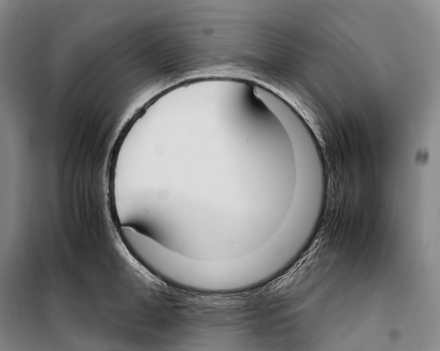 X0000099400998200806051203