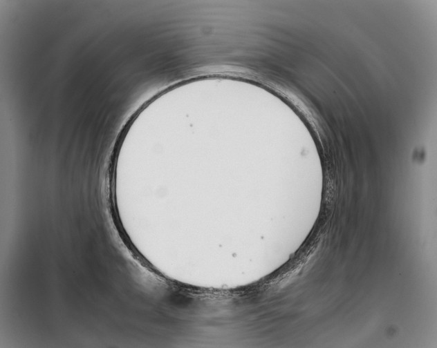X0000099400999200806051203