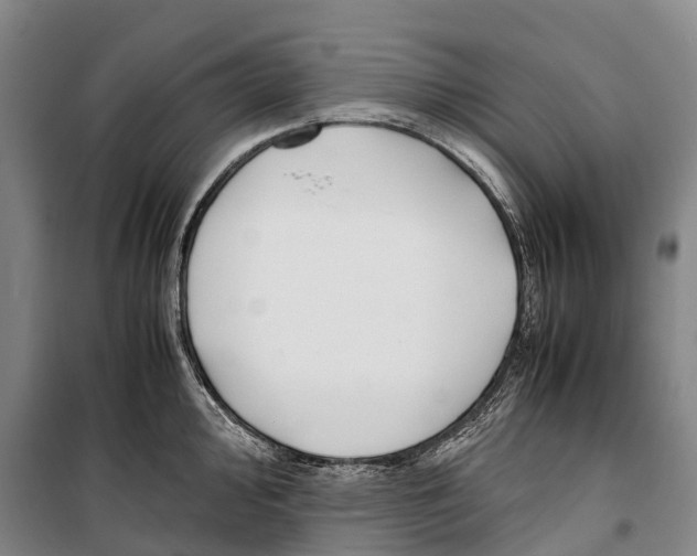 X0000099401000200806051203
