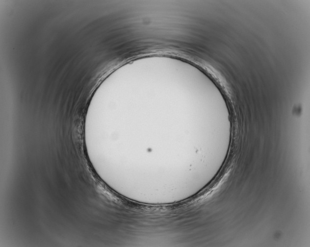 X0000099401001200806051203