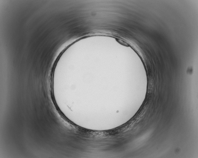 X0000099401003200806051203