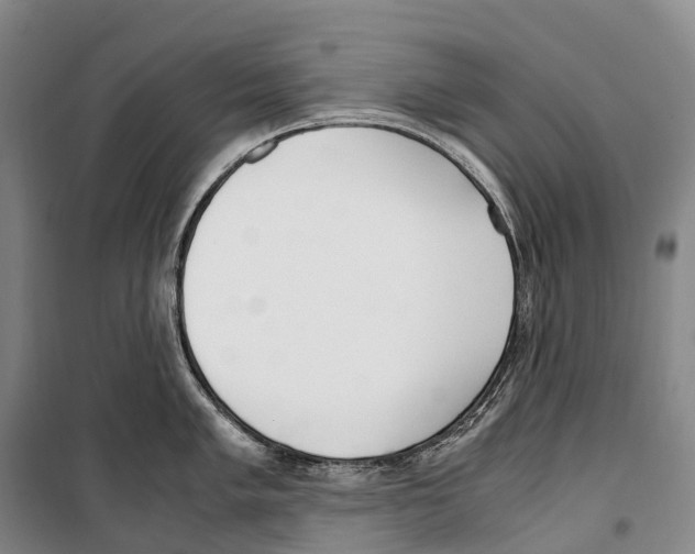X0000099401005200806051203
