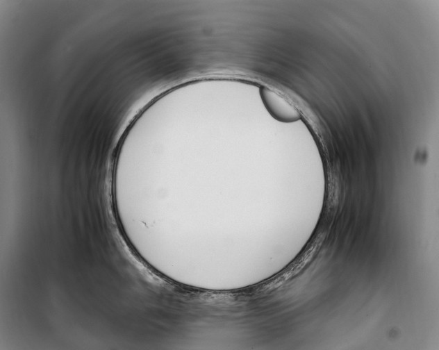 X0000099401006200806051203