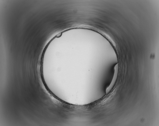 X0000099401007200806051203