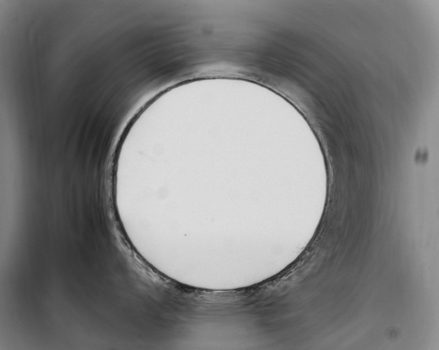 X0000099401008200806051203