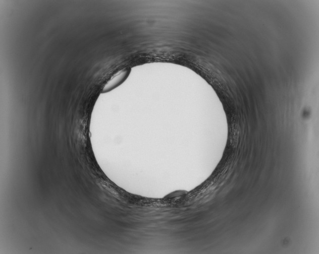 X0000099401010200806051203