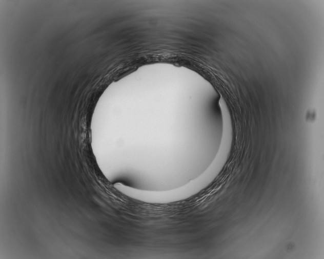 X0000099401011200806051203