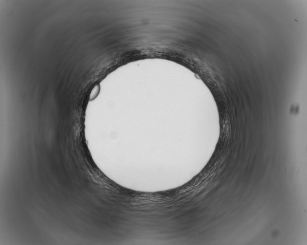 X0000099401012200806051203