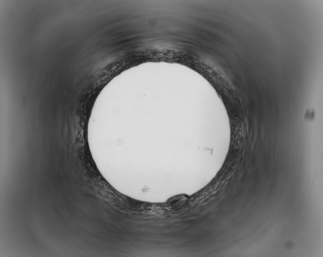 X0000099401013200806051203