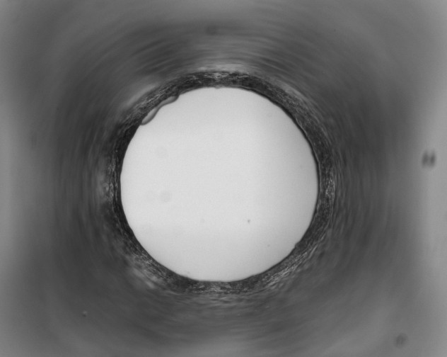 X0000099401014200806051203