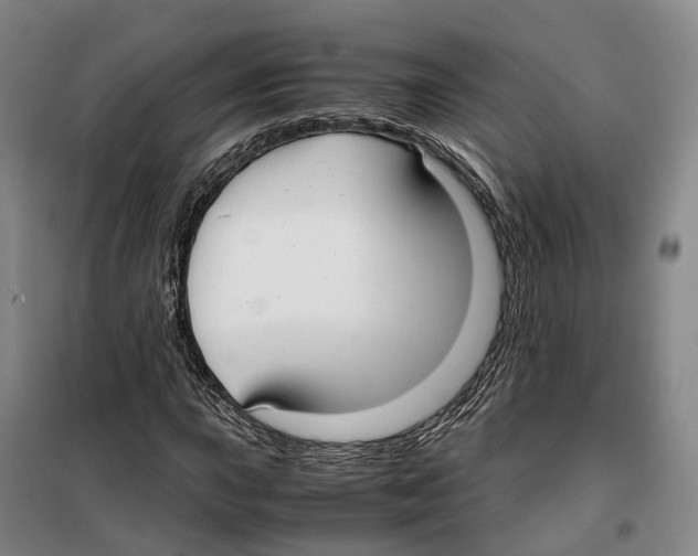 X0000099401015200806051203