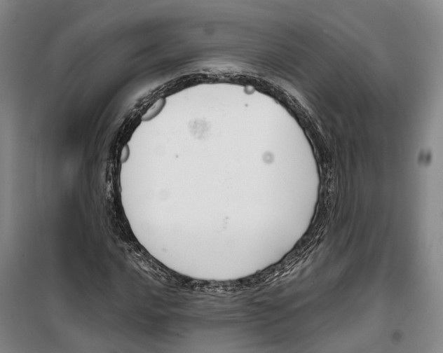 X0000099401016200806051203
