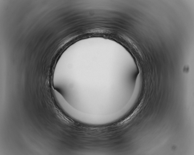X0000099401017200806051203