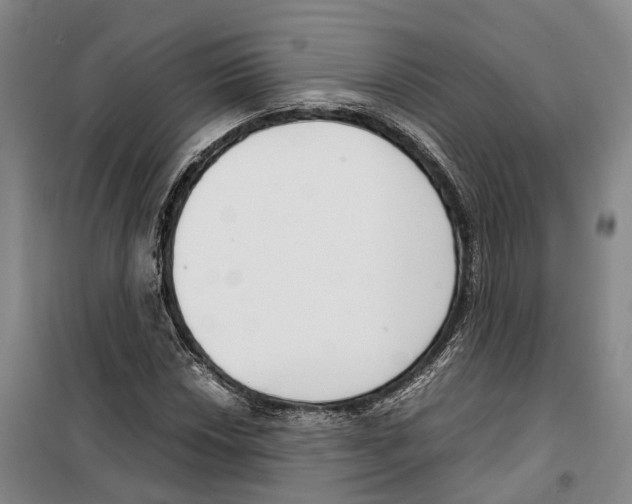 X0000099401018200806051203