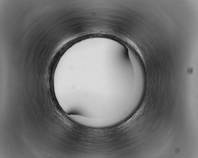 X0000099401019200806051203