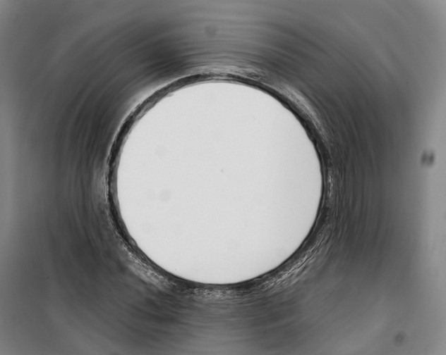 X0000099401020200806051203