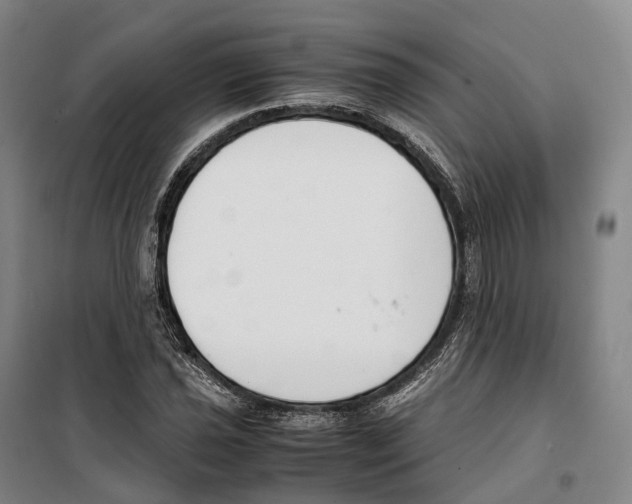 X0000099401021200806051203