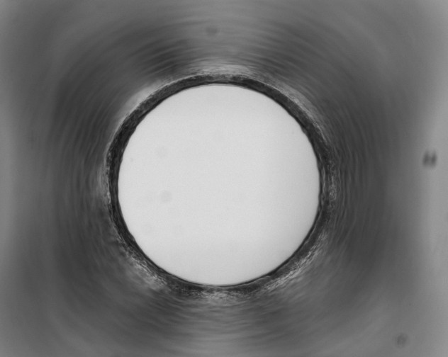 X0000099401022200806051203
