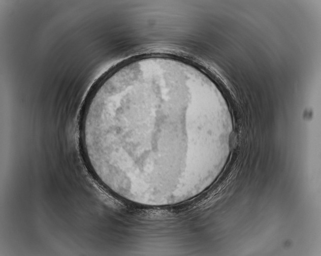 X0000099401024200806051203