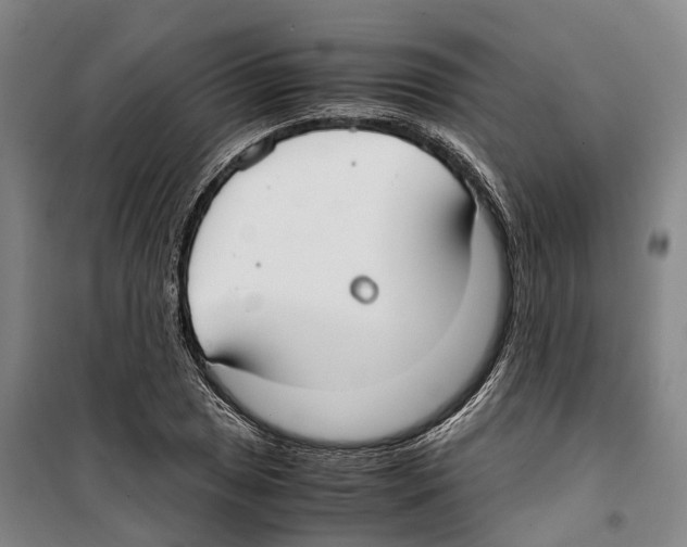 X0000099401025200806051203