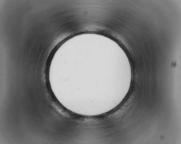 X0000099401026200806051203